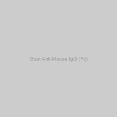 Image of Goat Anti-Mouse IgG (Fc)